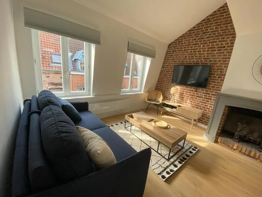 Appartement 50 M2 Avec Rooftop Lille Centre France